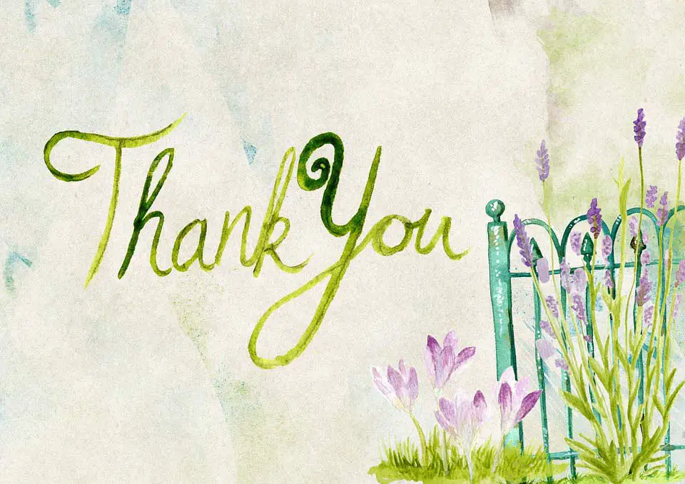 Fantastic Thank You Quotes