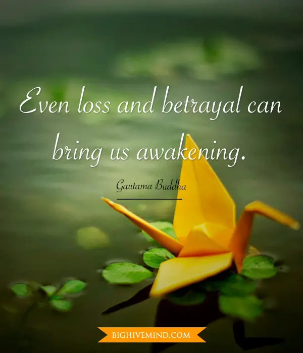 buddha-quotes-even-loss-and-betrayal2