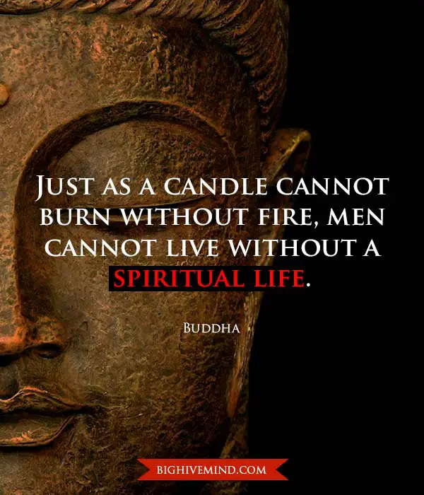 Over 100 Hundred of Our Favorite Buddha Quotes - Big Hive Mind