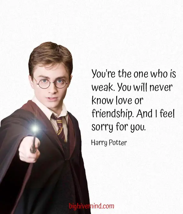 harry-potter-quotes-youre-the-one-who