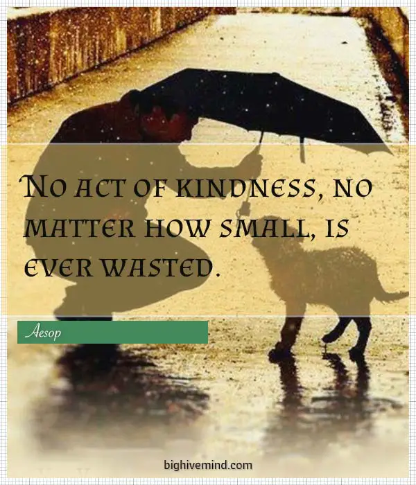 kindness-quotes-no-act-of-kindness