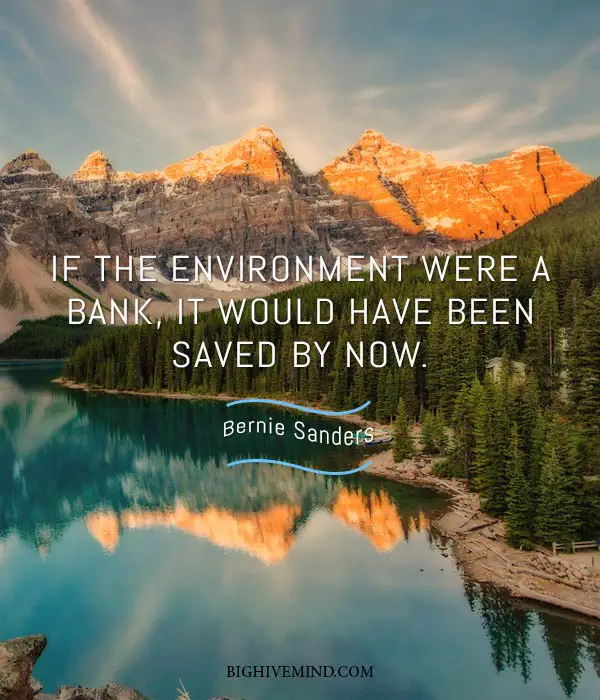 bernie-sanders-quotes-if-the-environment-were