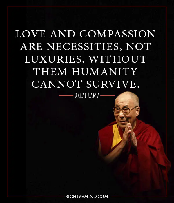 50 Thought Provoking Dalai Lama Quotes Big Hive Mind