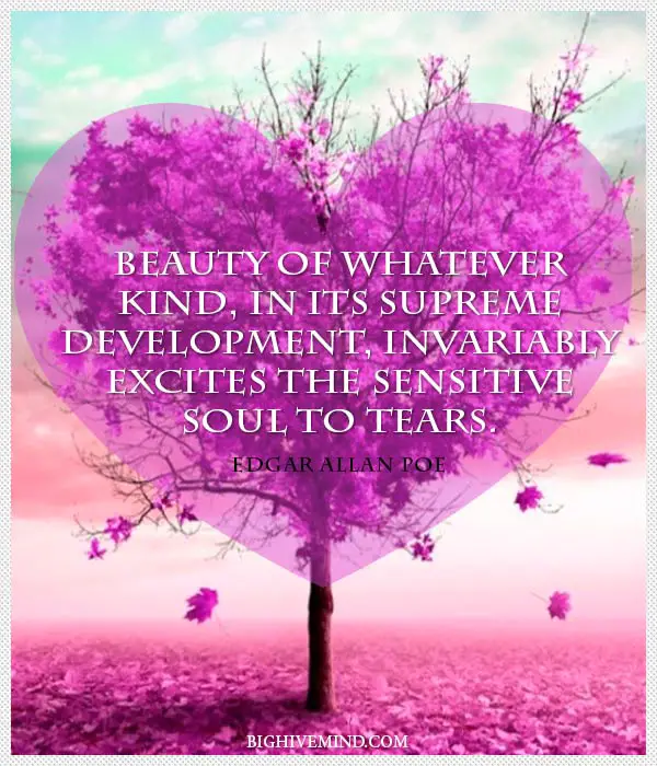 edgar-allan-poe-quotes-beauty-of-whatever-kind
