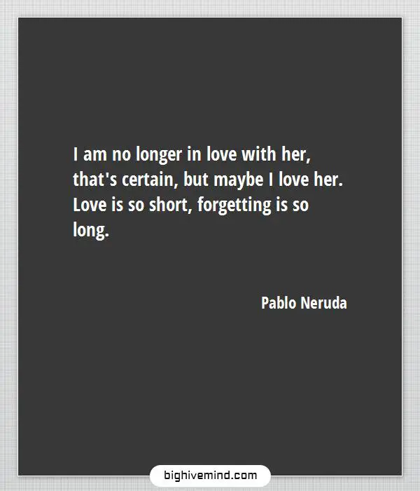 70+ Famous Pablo Neruda Quotes on Love and Life - Big Hive Mind