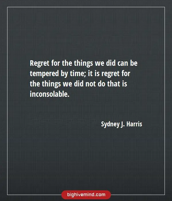 70 Regret Quotes On How To Live Love With No Regret Big Hive Mind