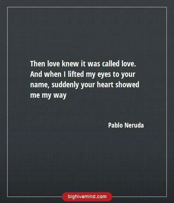 70+ Famous Pablo Neruda Quotes on Love and Life - Big Hive Mind