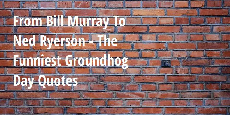 From Bill Murray To Ned Ryerson The Funniest Groundhog Day Quotes Big Hive Mind