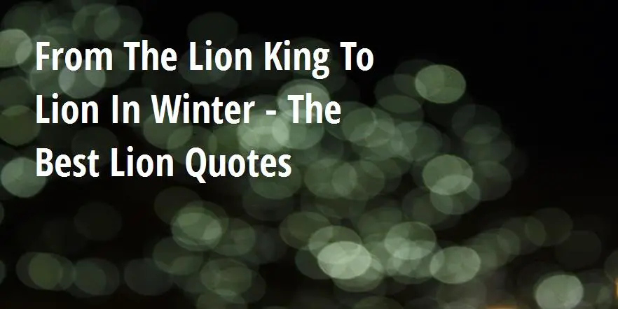 From The Lion King To Lion In Winter - The Best Lion Quotes - Big Hive Mind