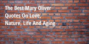 The Best Mary Oliver Quotes On Love, Nature, Life And Aging - Big Hive Mind