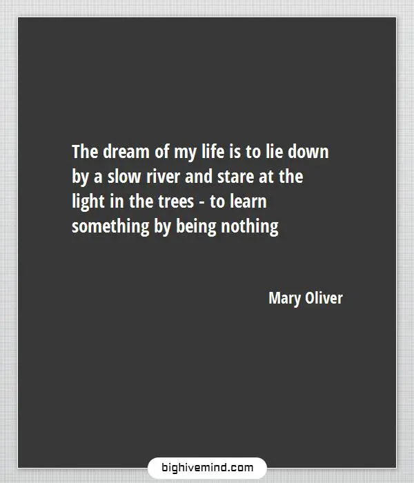 Best Mary Oliver On Love, Nature, Life And Aging - Hive Mind