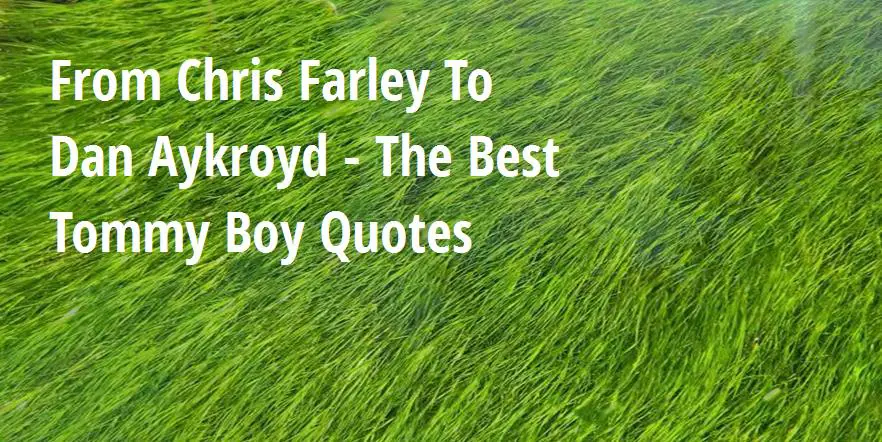 tommy boy sailboat quotes