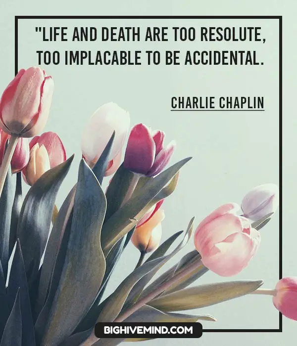 charlie-chaplin-quotes-life-and-death-are