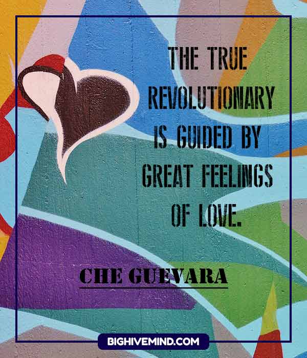 che-guevara-quotes-the-true-revolutionary-is