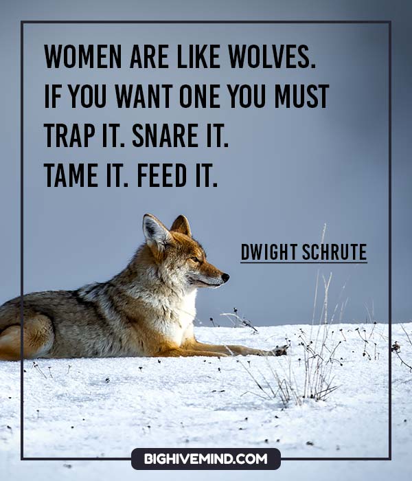 dwight-schrute-quotes-women-are-like-wolves