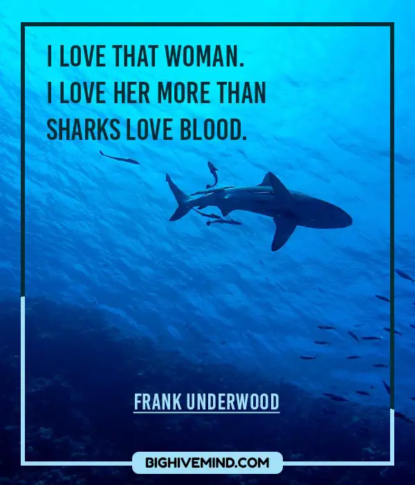 frank-underwood-quotes-i-love-that-woman
