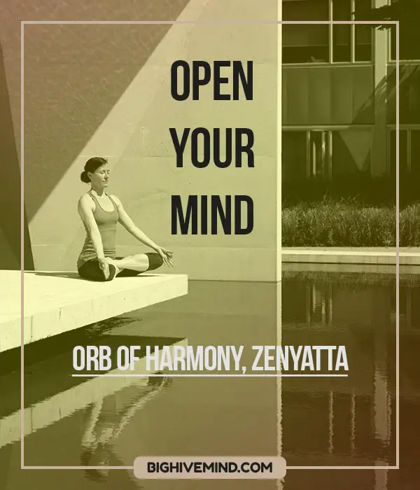 zenyatta-overwatch-quotes-open-your-mind